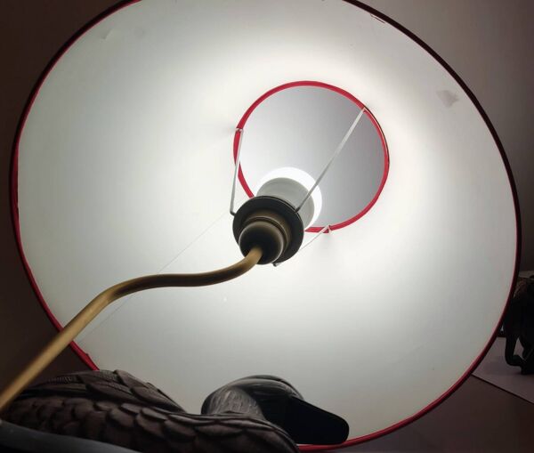 Lampe à poser décorative avec un pied en forme de canard sculpté et pe