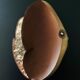 "Fish" cut in copper and mother-of-pearl by G. Espinosa, Mexico 60s