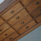 Antique French Light Oak Apothecary / Filing Cabinet, 1920/30s