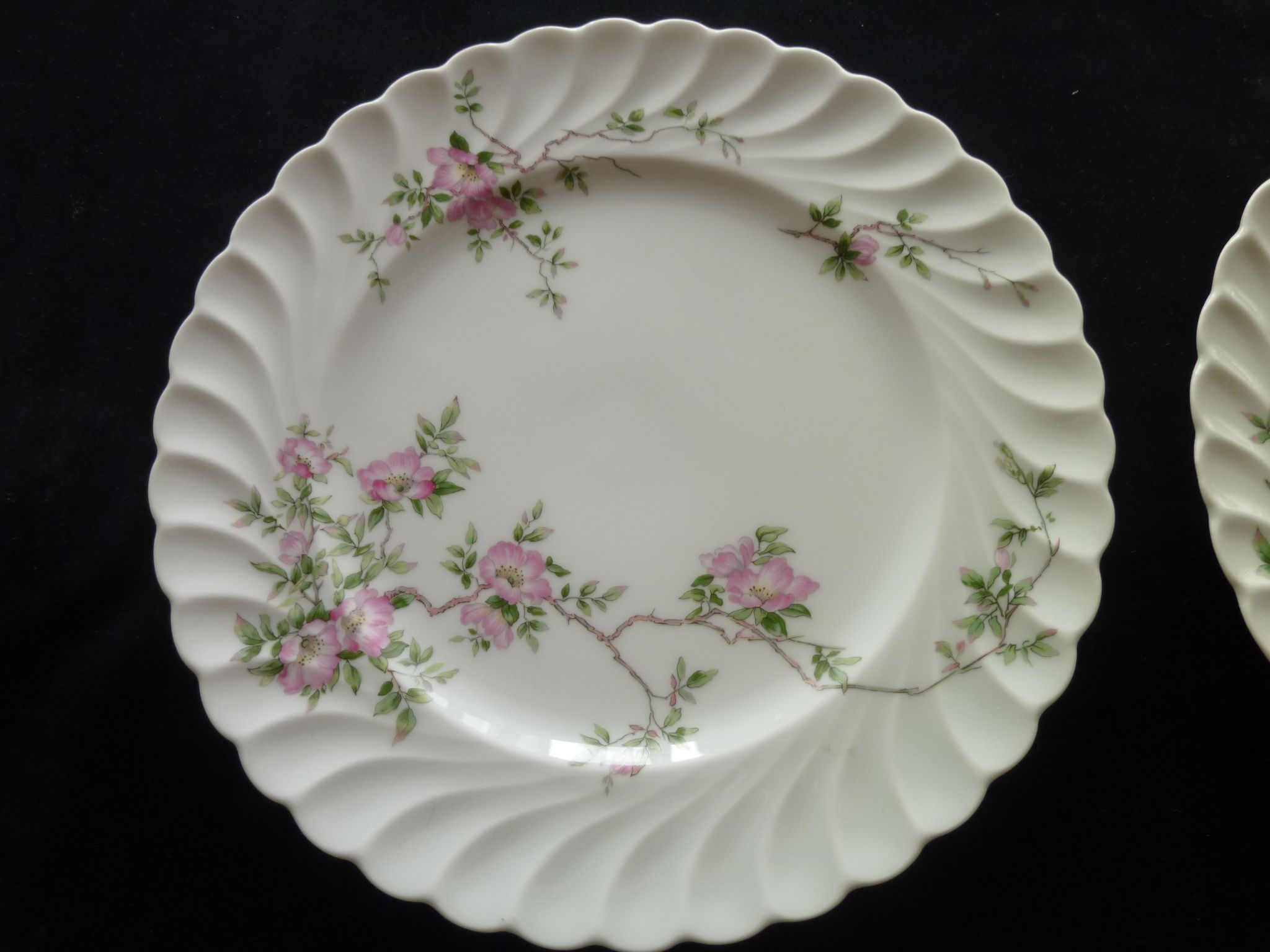Set of 2 flat plates in porcelain of Limoges Haviland Model Eglantine