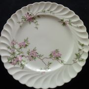Set of 2 flat plates in porcelain of Limoges Haviland Model Eglantine