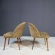 Pair of retro armchairs, Czechoslovakia 1960s