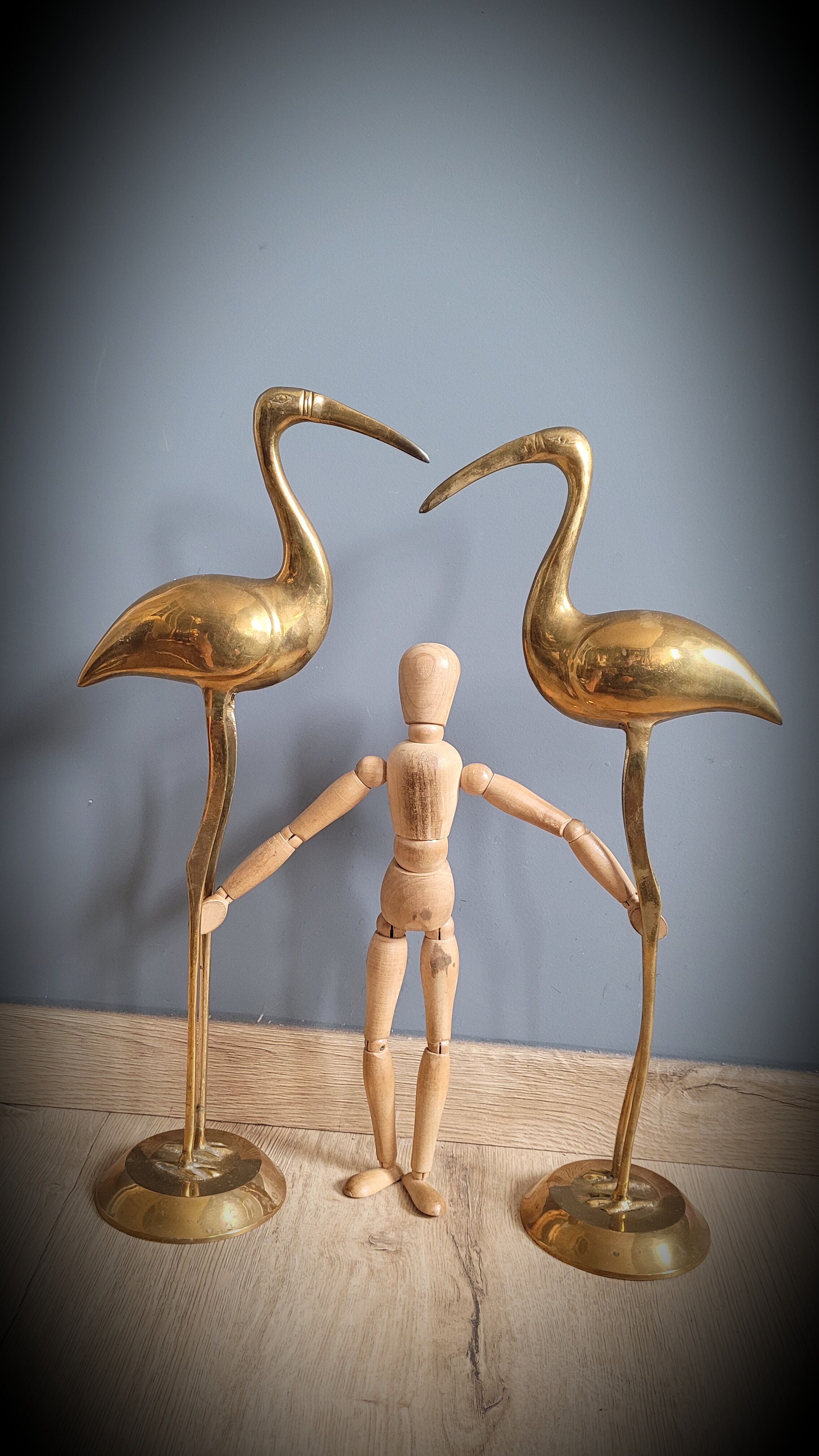 Duo great brass ibis