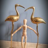 Duo great brass ibis