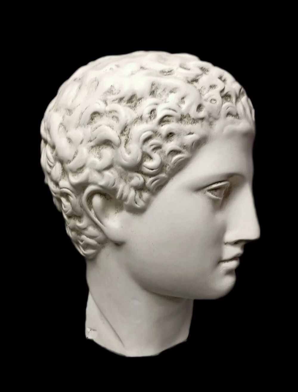 Antinous plaster head, British Museum