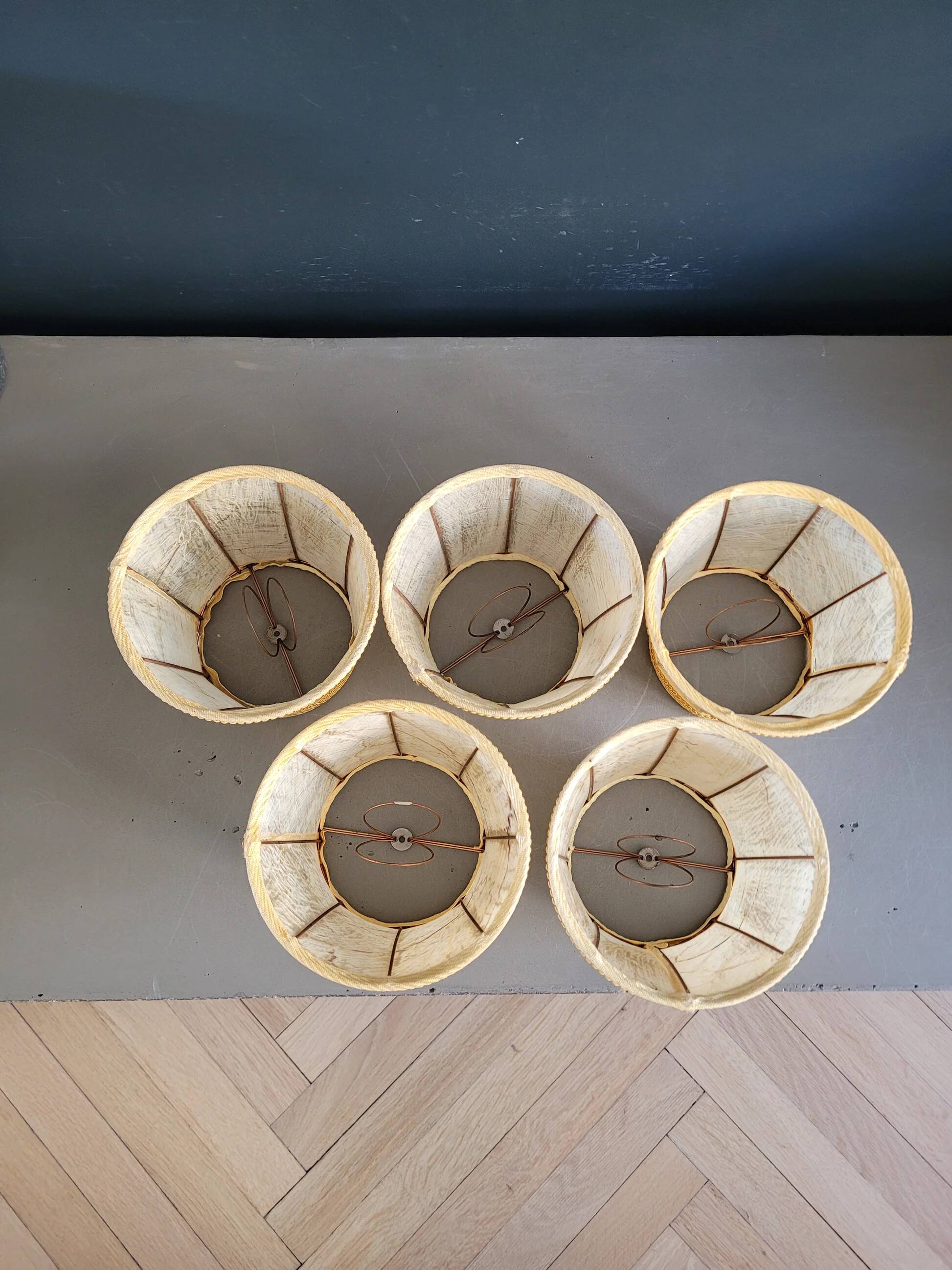 Set of 5 clip lampshades made from pig bladder.