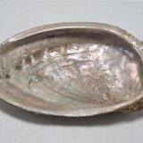 Shell-shaped catchall