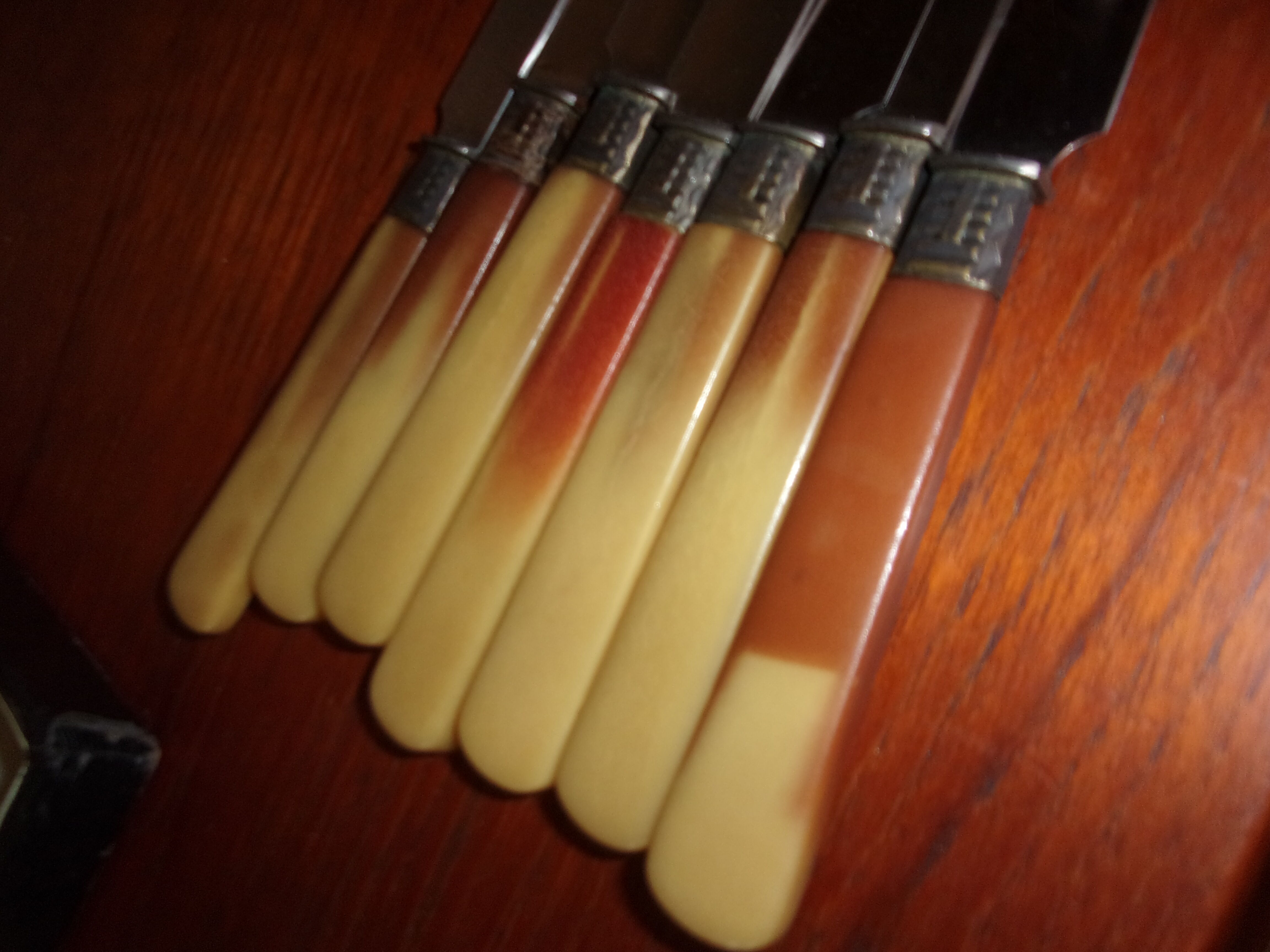 Box 12 knives Pradel, 1950s