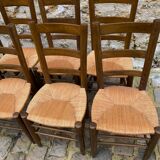 Series of eight mulched chairs