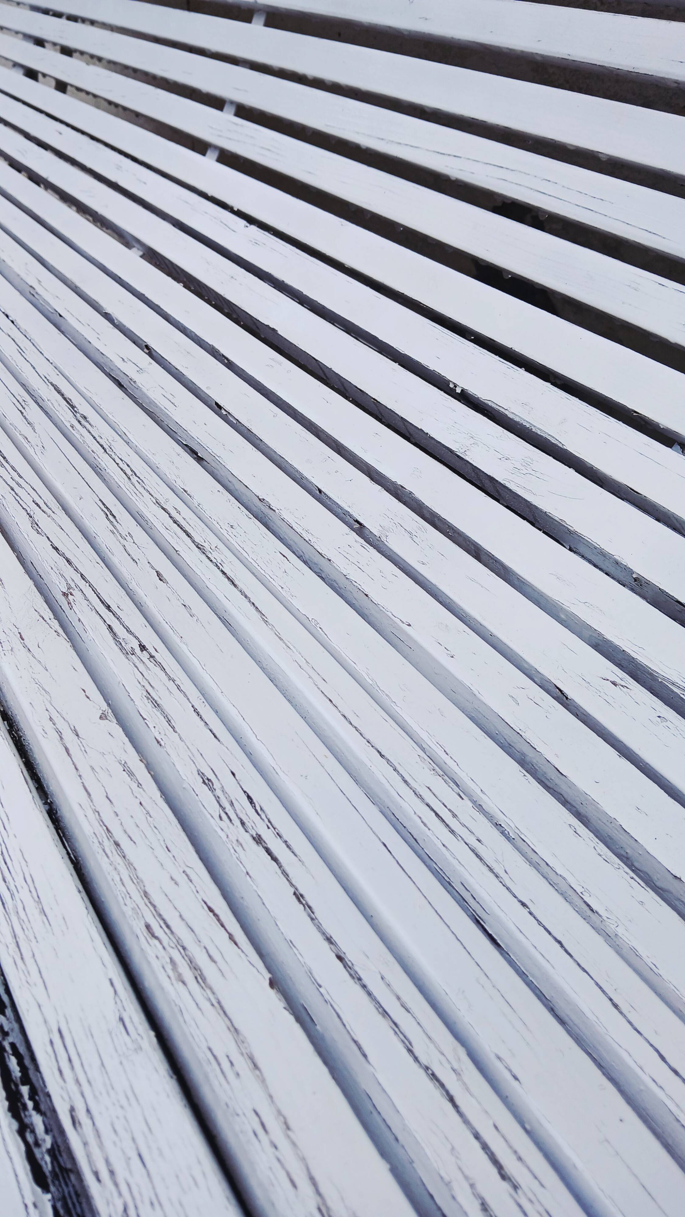 Cast iron and wooden slat garden bench from the early 20th century