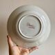 Set of 9 old ironstone hollow plates - Jardinière de Saint Amand