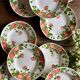 Set of 11 vintage deep plates by Eric de Moulin des Loups.