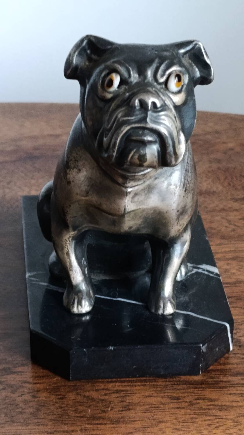 Delivered bulldogs from "Franjou"