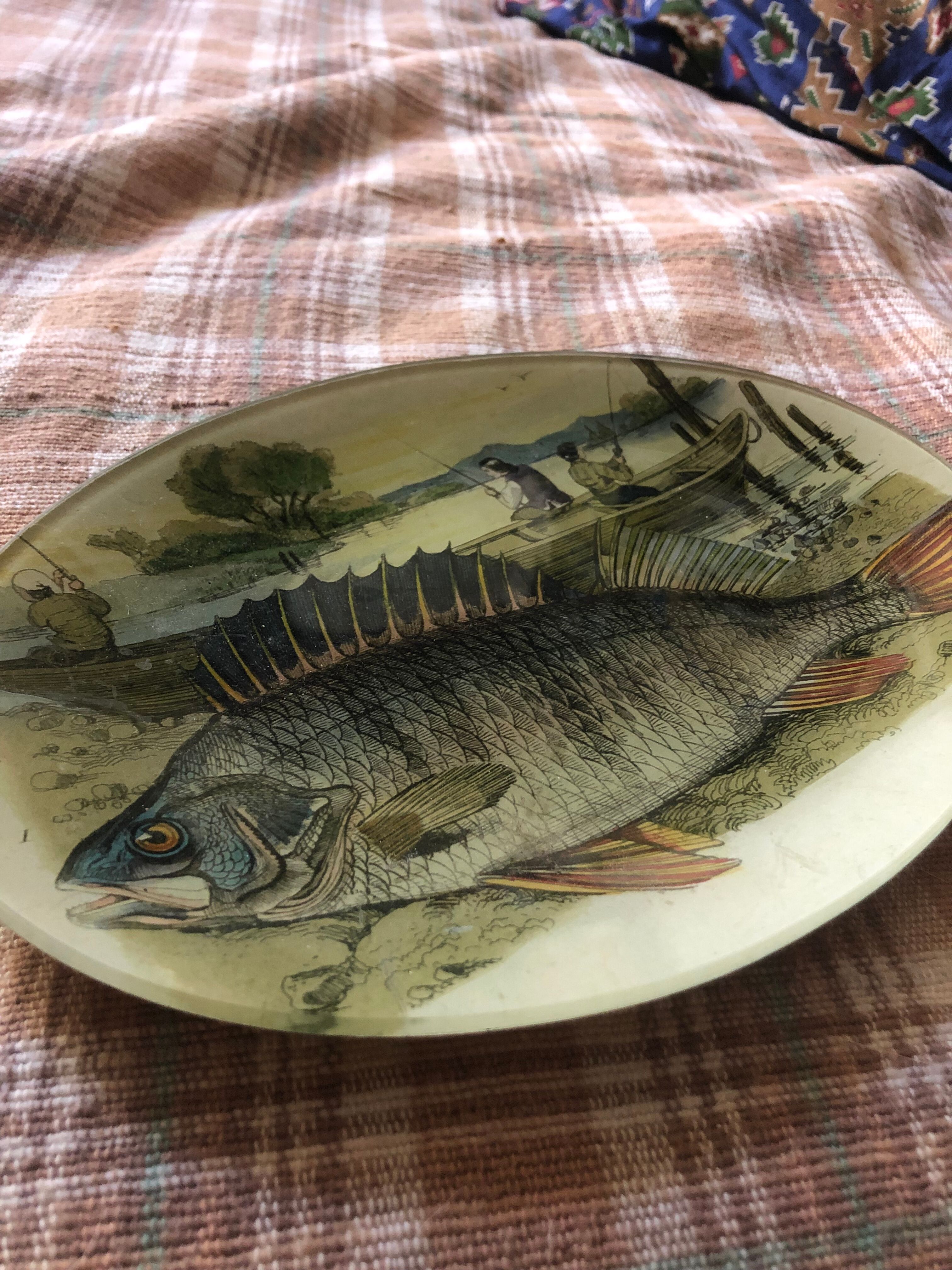 John Derian Company Collectible Plate