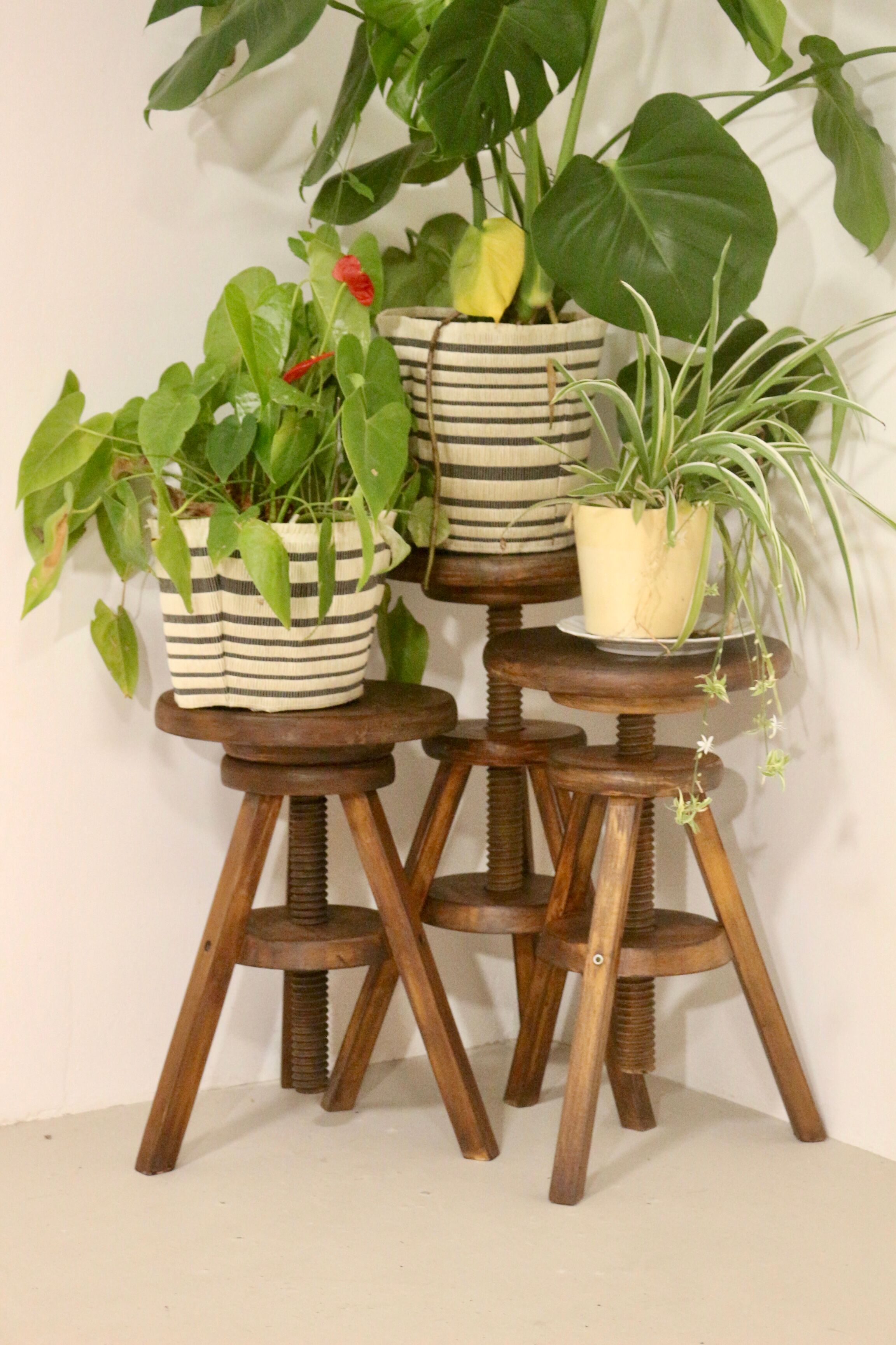 Set of 3 carpenter's screw stools