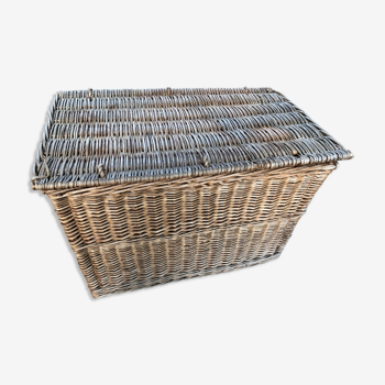 Wicker trunk