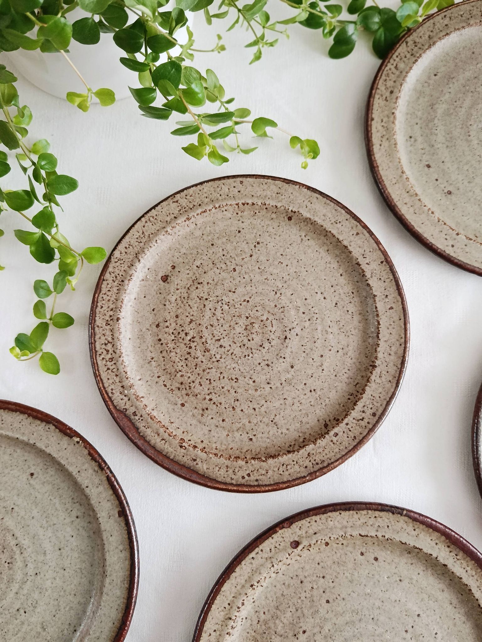 Set of 5 dessert plates by Jean Tessier, Le Cep, in pyrite stoneware.