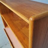 Scandinavian teak library