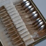12 Silver-plated metal mocha spoons with Russian handle + box