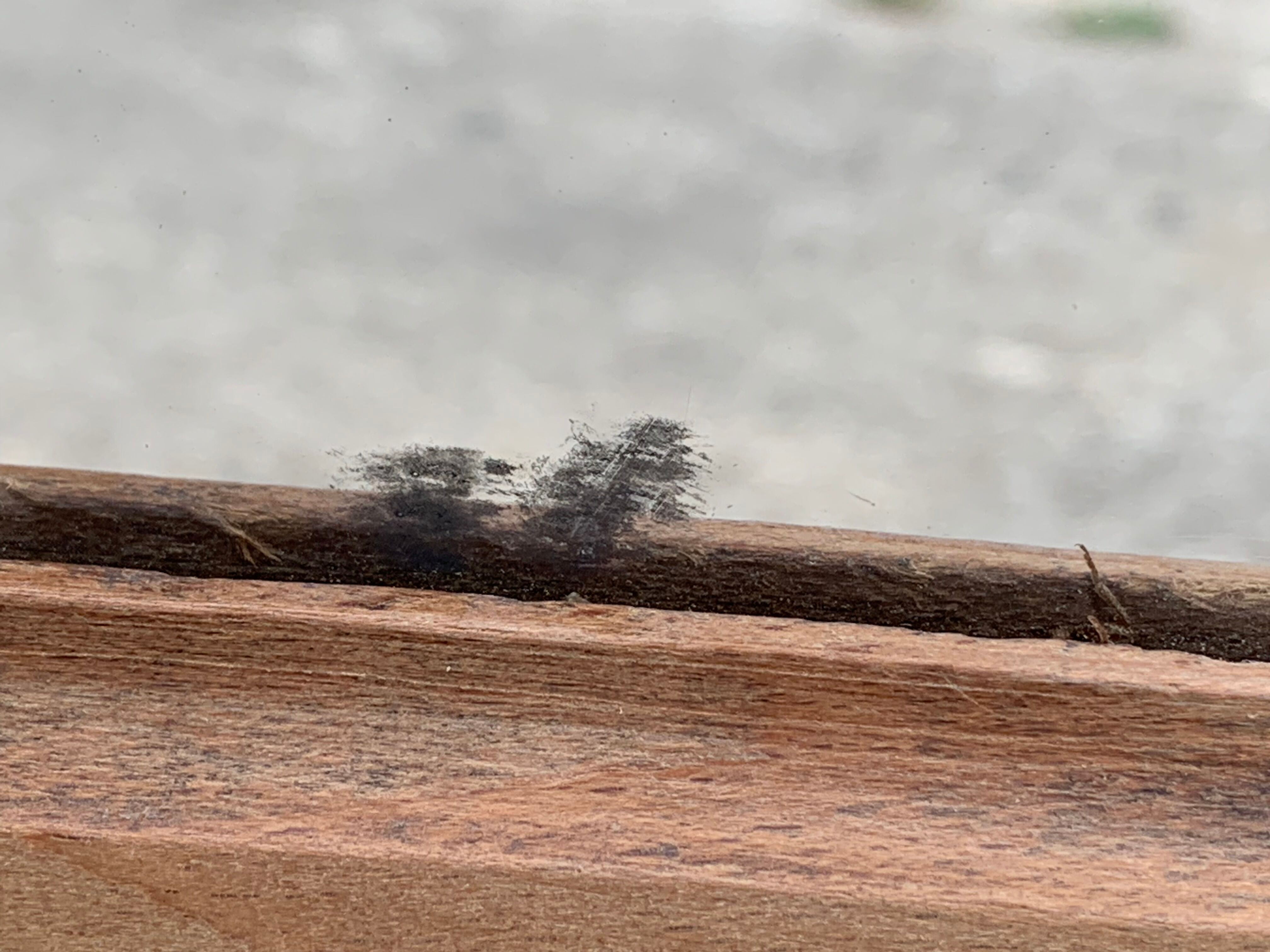 Parisian wardrobe art deco wood brut