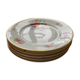 Limoges floral plates