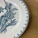 Old Plate