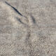 Carpet Beni Ourain 240 x 155 cm