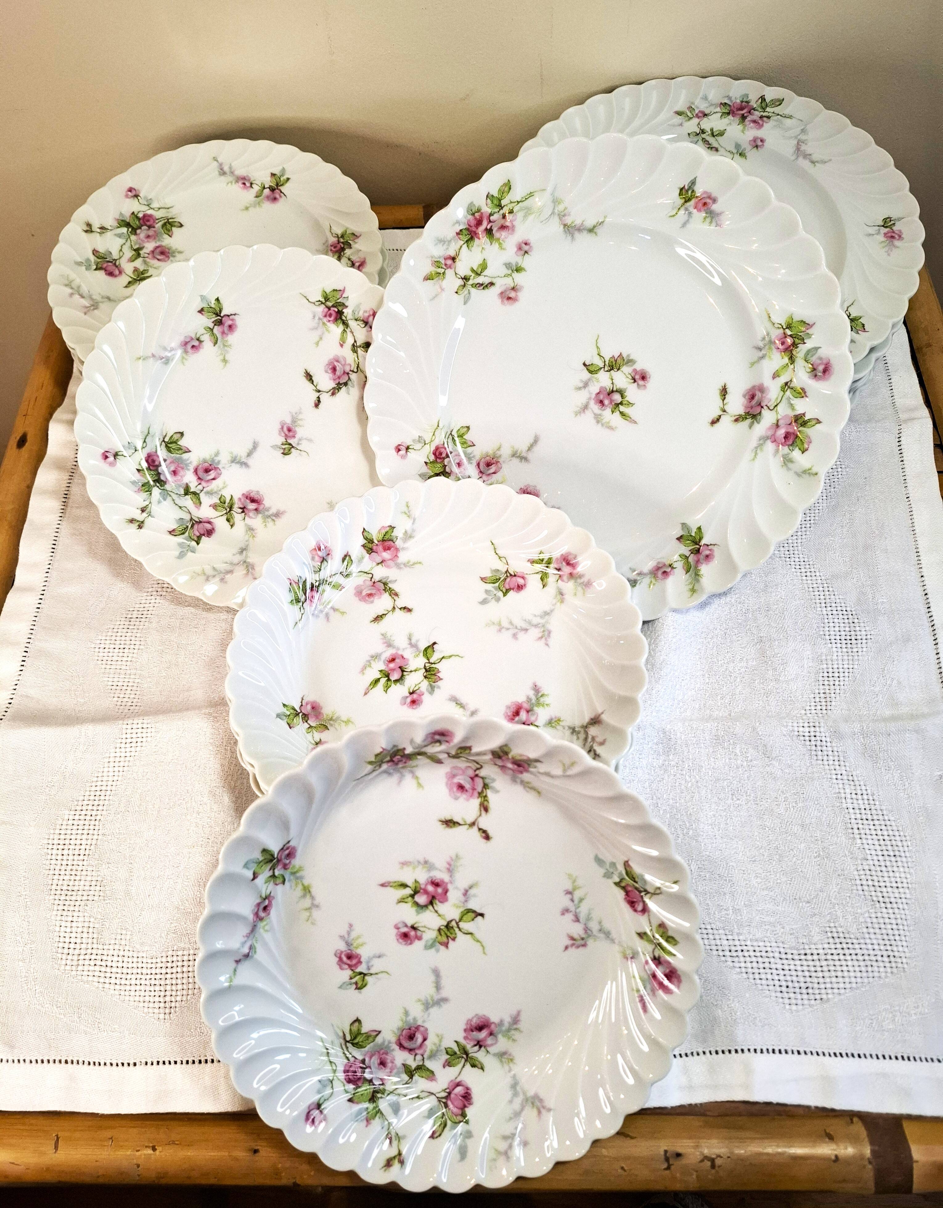 Haviland Limoges porcelain plates