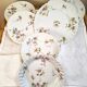 Haviland Limoges porcelain plates