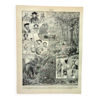 Gravure ancienne 1898, Asie : tribu, faune et flore • Lithographie originale et vintage