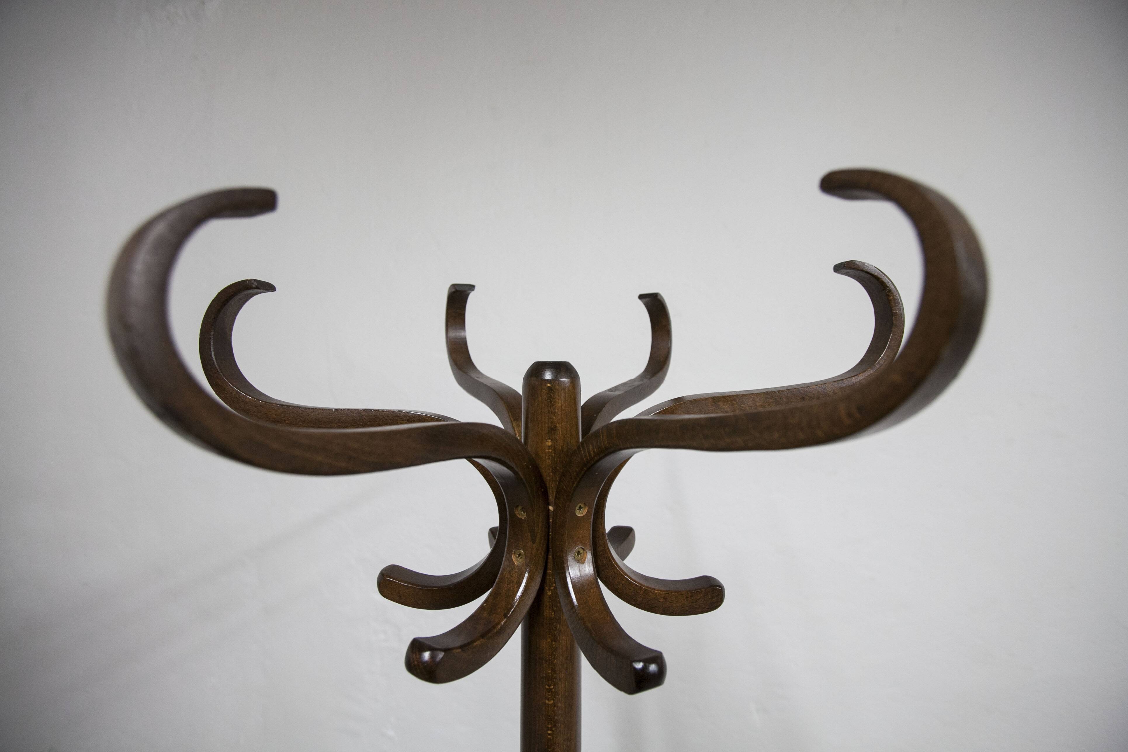 Baumann parrot coat rack 1970 dark oak