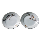 2 dessert plates Faïence d'Onnaing from Northern France