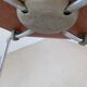 Paire de chaises en teck Tapio Wirkkala pour Asko