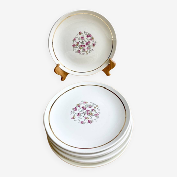 Opaque porcelain plates 50's