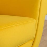 Mid-Century Armchair by Gigi Radice for Minotti, Italy, 1960s