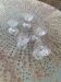 5 vintage transparent glass champagne glasses