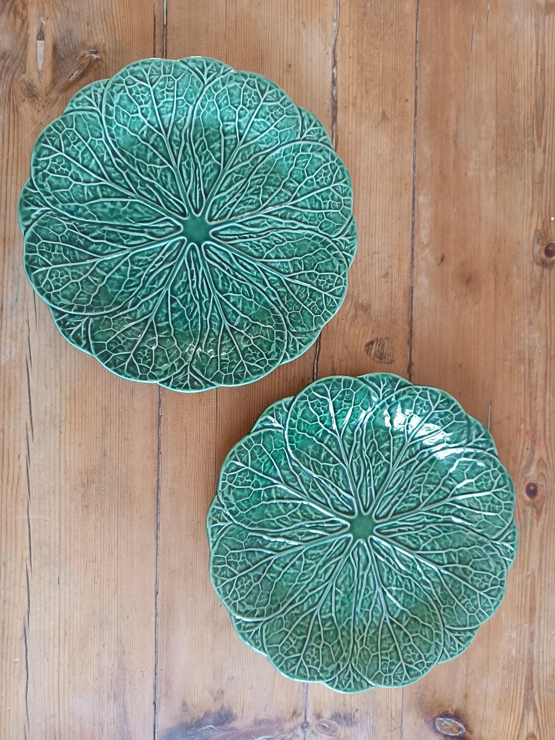 Duo of plates in slip