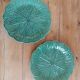 Duo of plates in slip