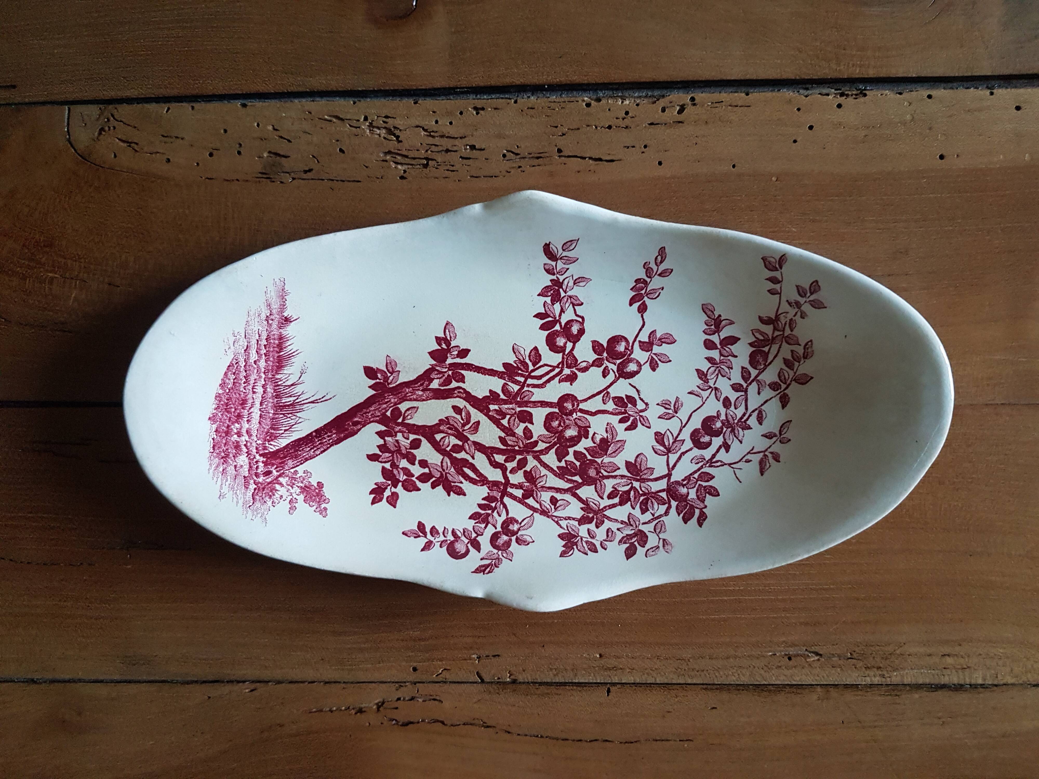 Delight Samaritan Land of Iron