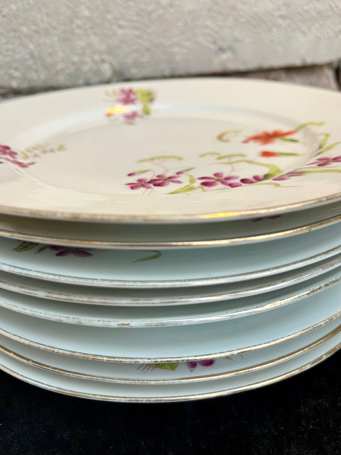 Set of 8 floral porcelain plates from the late 19th century.