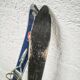 Pair of old wooden skis for children