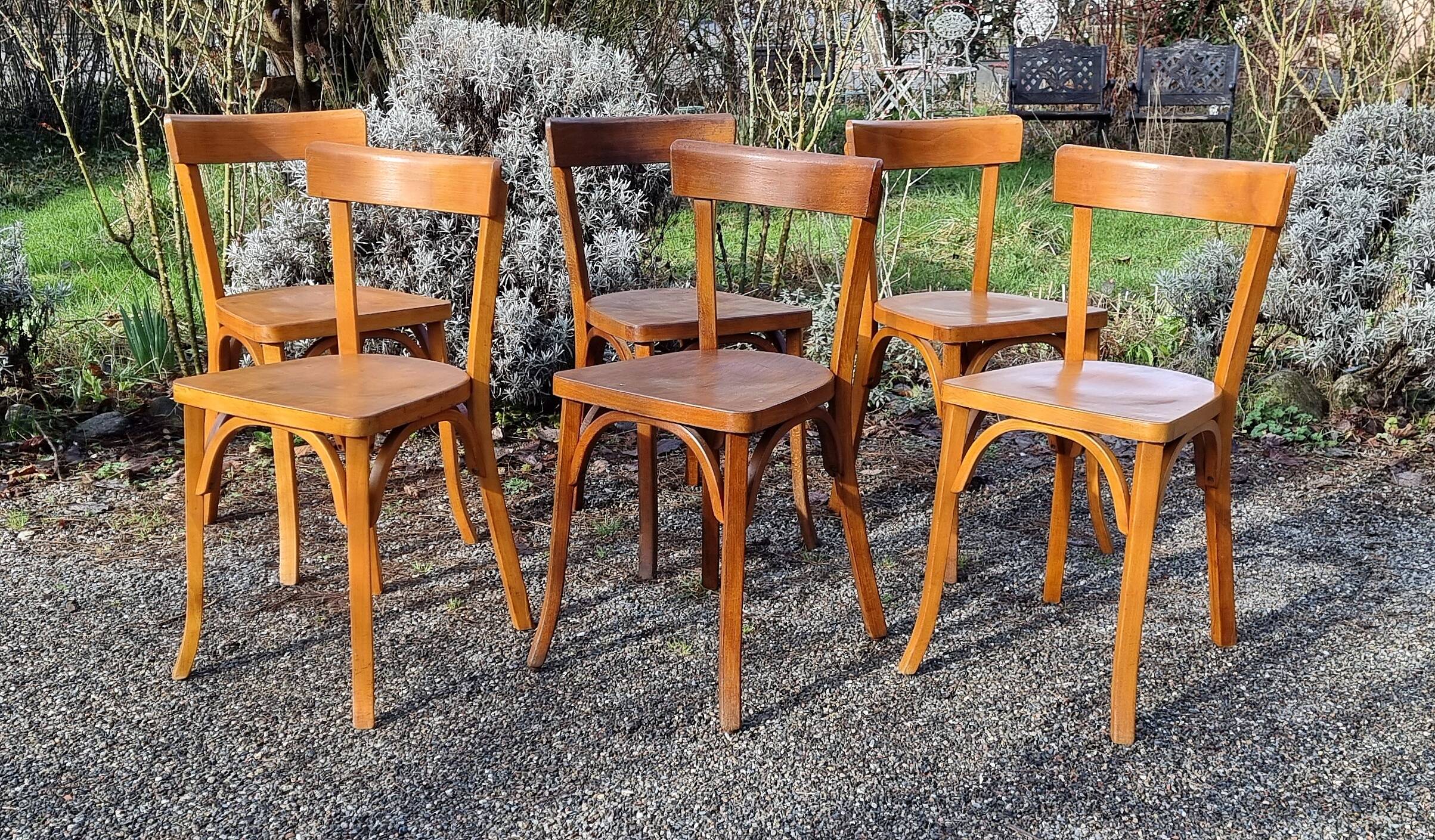 6 Baumann n°55 chairs from the 1950s