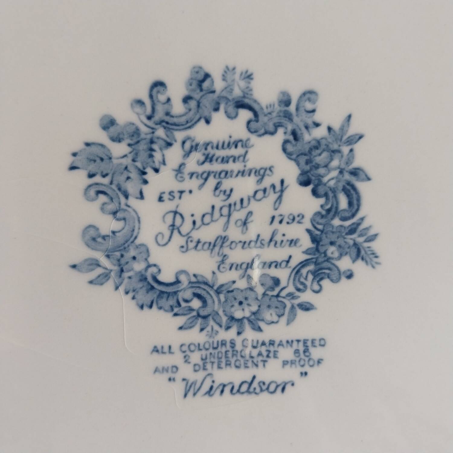 English dinner plates Ridgway of staffordshire Windsor