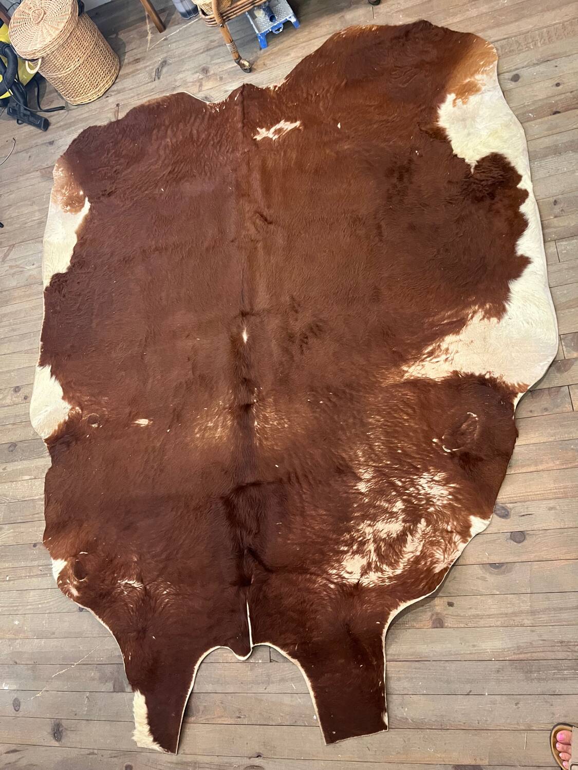 Cow rug