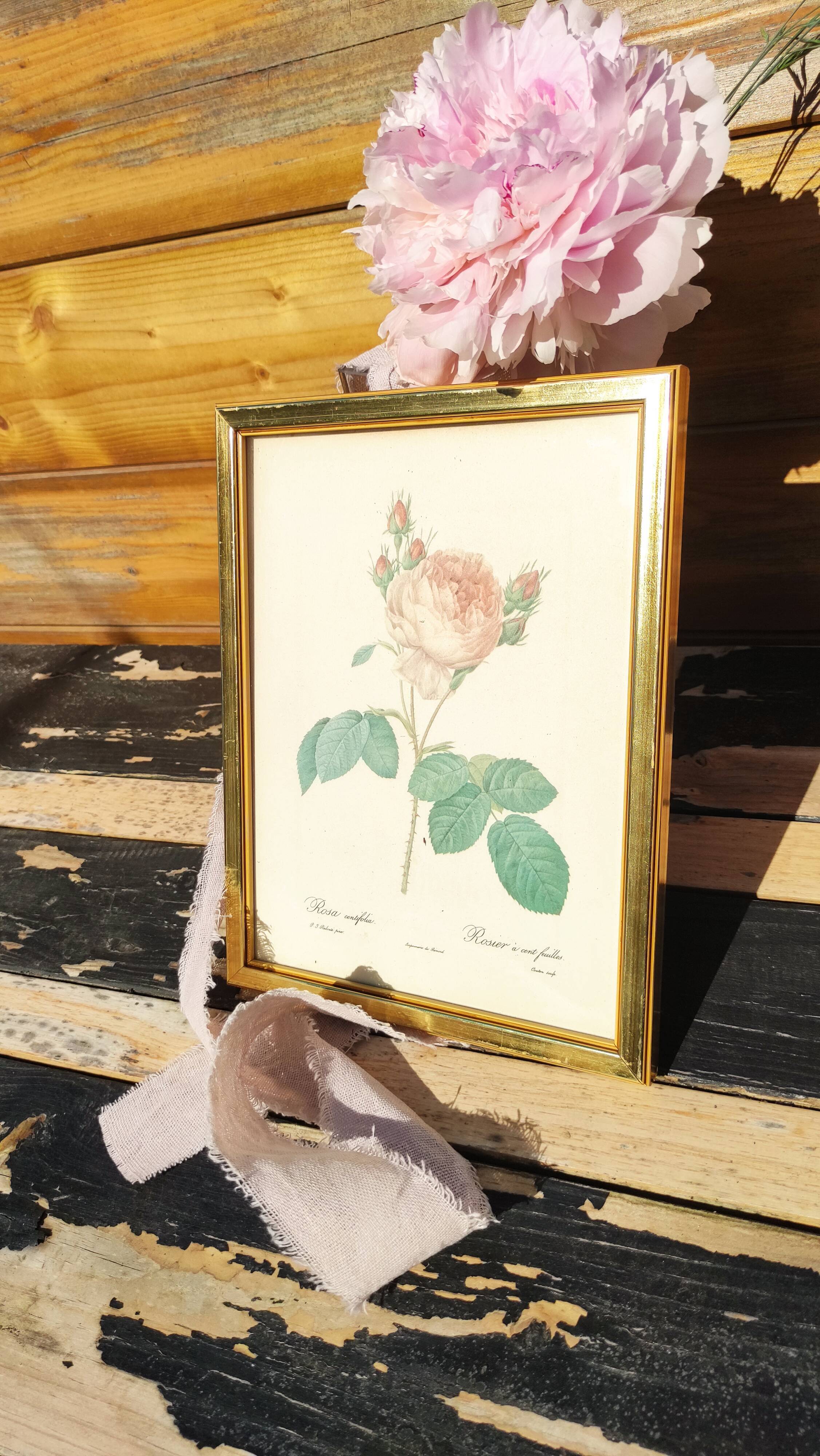 Cadre vintage de Redouté en laiton doré
