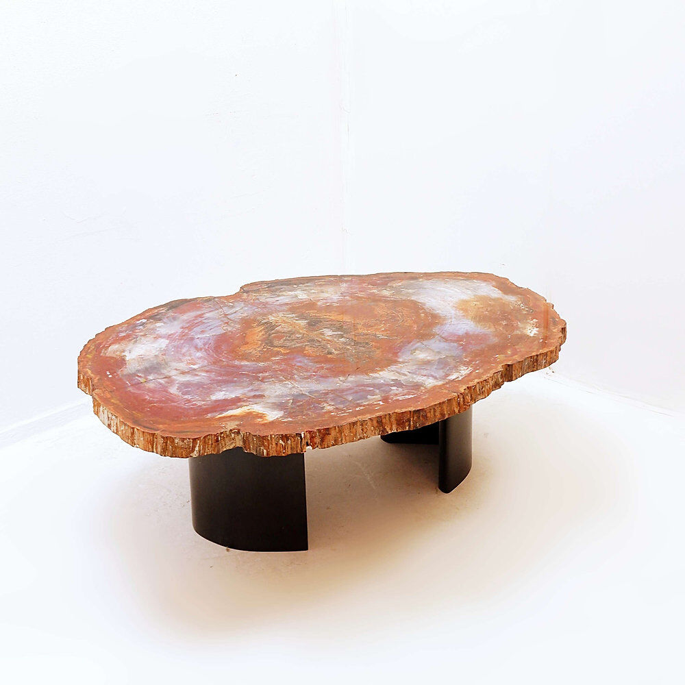 Red petrified wood coffee table from Arizona: 114x88cm