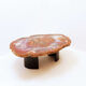 Red petrified wood coffee table from Arizona: 114x88cm