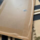 Lot 4 herbarium plates 1929