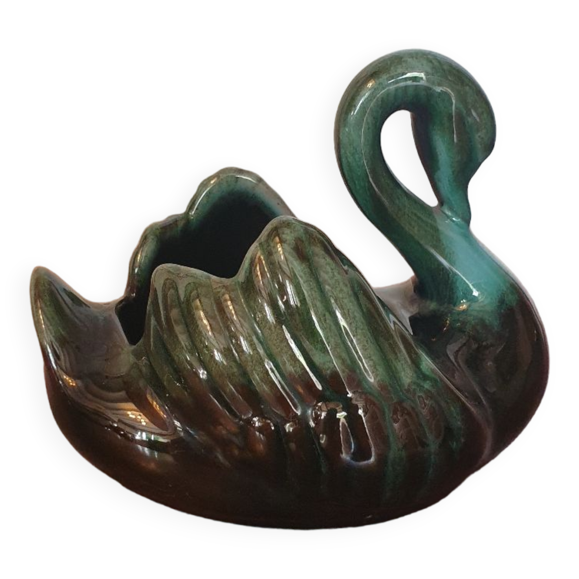 Empty pocket swan canada