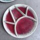 Fondue plates Hugo Kohler
